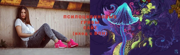 круглые Алзамай