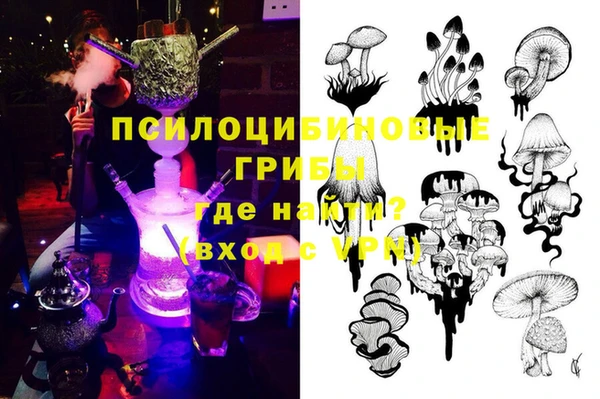 мет Арсеньев
