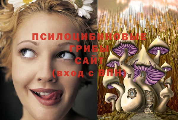 скорость Аркадак