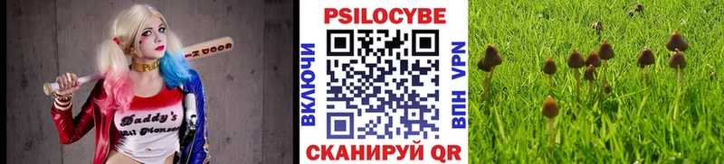 Галлюциногенные грибы мухоморы  Купить  Сатка 